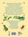 АСТ Танасийчук В.Н. "Сколько глаз у стрекозы?" 380904 978-5-17-153485-1 