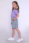Натали Шорты 384096 35311 полоска