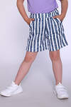 Натали Шорты 384096 35311 полоска