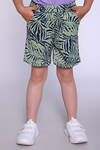 Натали Шорты 384098 35311 папоротник