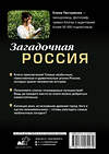 АСТ Елена Пестрикова "Загадочная Россия. Почему «Версаль» оказался в пензенской глубинке, какие секреты хранит озеро Ключик и стоит ли бояться ведьминого леса?" 384674 978-5-17-157027-9 