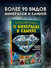 АСТ Спектор А.А. "Большая книга о минералах и камнях. 1001 фотография" 451040 978-5-17-166635-4 