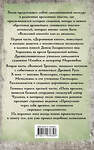 АСТ Гнатюк В.С., Гнатюк Ю.В. "Перуновы дети. Деревянная книга" 451048 978-5-17-167635-3 