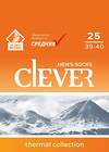 CLEVER Носки 454350 С301П 24 серый