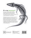 Эксмо Ари ван‘т Рит, Ян Паул Схюттен "Вижу насквозь. Удивительные рентгеновские снимки животных" 455391 978-5-00169-620-9 