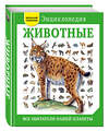 Эксмо Дэвид Элдертон "Животные. Все обитатели нашей планеты" 474640 978-5-699-90910-0 