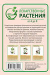 АСТ Сафонов Н.Н. "Лекарственные растения от А до Я. 50 карточек" 475740 978-5-17-166574-6 