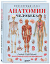 Эксмо "Анатомия человека. Популярный атлас. Самые подробные анатомические изображения" 479809 978-5-04-198035-1 