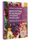 АСТ Юрий Загвоздин "Виноград в любом уголке России. Проверенная и эффективная методика выращивания капризной ягоды" 500271 978-5-17-164588-5 