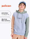 PELICAN Толстовка 529815 BFNK3371/2 Лед