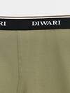 DiWaRi Трусы 556967 PREMIUM MSH 1568 (бандероль) khaki-black strip