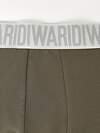 DiWaRi Трусы 556976 PREMIUM MSH 3300 (бандероль) khaki-grey