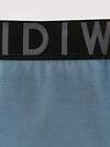 DiWaRi Трусы 556978 PREMIUM MSH 3300 (бандероль) blue-graphite