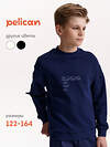 PELICAN Толстовка 558287 BFN7040U Синий
