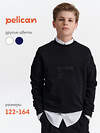 PELICAN Толстовка 558288 BFN7040U Черный