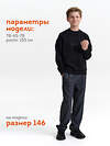 PELICAN Толстовка 558288 BFN7040U Черный