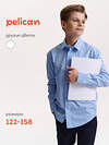 PELICAN Сорочка 558294 BWCJ7119 Голубой