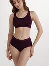 Conte elegant Трусы 562332 BASIC COLLECTION LB 2016 (коробочка) bordo