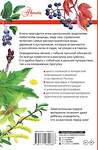 АСТ Пескова И.М. "Деревья и кустарники России. Определитель" 562635 978-5-17-106228-6 