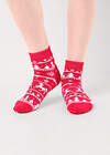 CLEVER Носки 569310 С4550П 24 красный