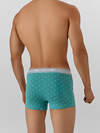 MARK FORMELLE Трусы 574208 411228-2 узор на персидском зеленом +черный