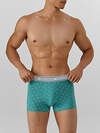 MARK FORMELLE Трусы 574208 411228-2 узор на персидском зеленом +черный
