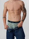 MARK FORMELLE Трусы 574228 411124-3 топоры на зеленом льду +т.зеленый +узор на черном