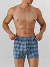 MARK FORMELLE Трусы 574273 411152 клетка на шторме