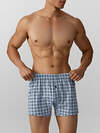 MARK FORMELLE Трусы 574276 411152 клетка на серо -голубом