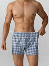 MARK FORMELLE Трусы 574276 411152 клетка на серо -голубом