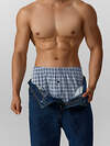 MARK FORMELLE Трусы 574276 411152 клетка на серо -голубом