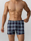 MARK FORMELLE Трусы 574279 411152 голубая клетка на т.синем