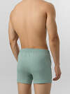 MARK FORMELLE Трусы 574284 411152 зеленый лед