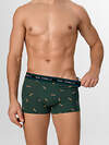 MARK FORMELLE Трусы 580572 411228 коньяк на хвойный лес