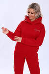 Натали Толстовка 580966 27337 красный