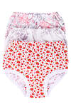 Натали Трусы 581085 24208 ассорти
