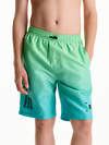 PELICAN Шорты плавательные 581405 BWHE3369 Салатовый