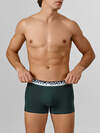 MARK FORMELLE Трусы 581740 411228-3 зеленый бархат +темный кармин +черный