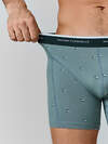 MARK FORMELLE Трусы 586866 411235-2 узор на бризе +зеленый бархат