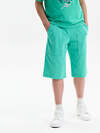 PELICAN Шорты 588581 BFH3352//3U Ментол
