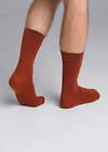 CLEVER Носки 590750 К009Л коричневый