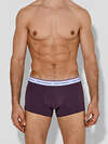 MARK FORMELLE Трусы 591551 411124-4 ежевичный