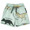 YOULALA Шорты 592009 0613101503 мятный