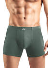 CLEVER Трусы 592550 MSHL608710/8maxi(макси) т.зелёный