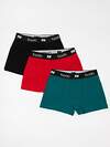 Bodo Трусы 592805 50-21MU черный/изумрудный/  красный