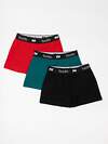 Bodo Трусы 592805 50-21MU черный/изумрудный/  красный