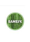 CLEVER Трусы 594466 MH561413 св.зелёный/т.зелёный