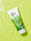 Lebelage Очищающая пенка для лица с экстрактом зеленого чая / Green Tea Cleansing Foam, 100 мл 601386 28548 