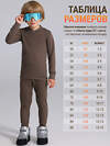 Lynxy Комплект 611431 лонгслив+кальсоны 2ПНК3763030 коричневый