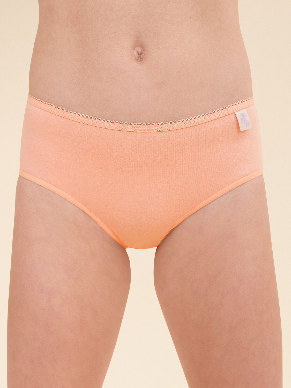 PELICAN Трусы 382837 GULC3354(3) Лаванда/персиковый/персиковый